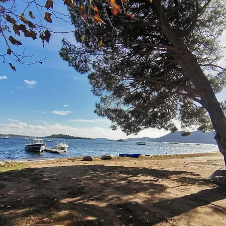Camping La Baie Des Voiles Porto-Vecchio  Room photo