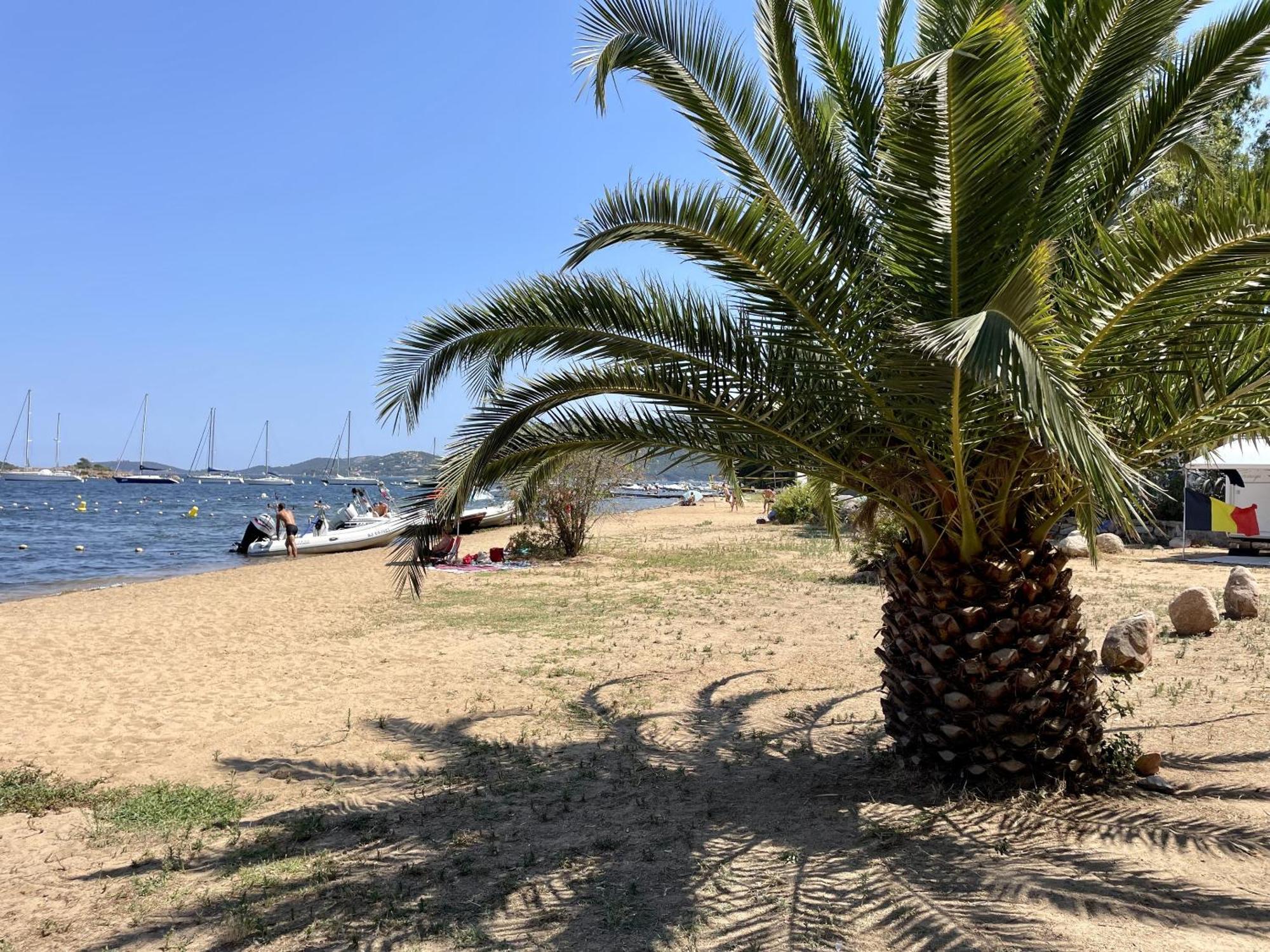 La Baie Des Voiles Camping Porto Vecchio
